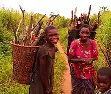 Image 15Collecting firewood in Basankusu. (from Democratic Republic of the Congo)