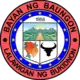 Official seal of Baungon