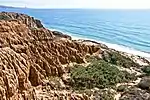 Large-scale coastal erosion at Torrey Pines State Reserve, California.