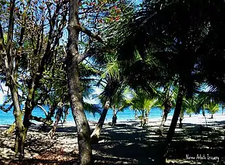 Beach in Coto, Isabela