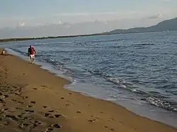 A beach in Fonteblanda