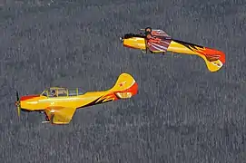 Two Yakovlev Yak-52 near Moscow