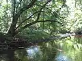 Beaver Creek and its watershed are being actively maintained.