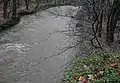 Beaver Creek expands into its floodplain after a sizable rainfall.