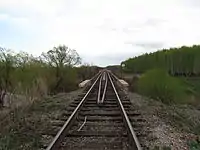 Bekovo railway bridge across the Mitkirey river near Sosnovka, 2015 год