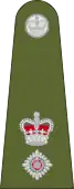 Lieutenant-Colonel