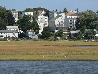 Homes in Revere adjacent to the marsh