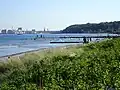 Riis Skov forest and Aarhus skyline on the horizon