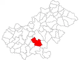 Location in Satu Mare County