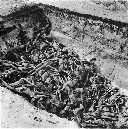 Image 3The bodies of the dead lie awaiting burial in a mass grave at the camp. (Bergen-Belsen concentration camp)