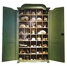 Image 14An early 18th-century German  Schrank with a traditional display of corals, from the Naturkundemuseum, Berlin