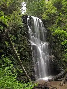 Berry Creek Falls