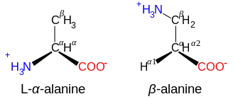 Comparison of the structures of alanine and beta alanine.