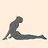 Bhujaṅgāsana ◦ Cobra