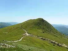 Northern face of Tarnica, June 2015