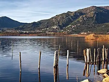 The Biguglia Lake