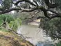 Billabong Creek at Wanganella