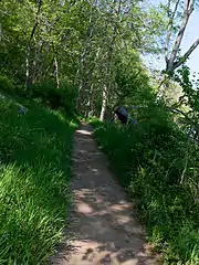 B trail, Potomac River on the right