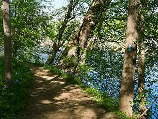 B trail, Potomac River to the right, through the trees