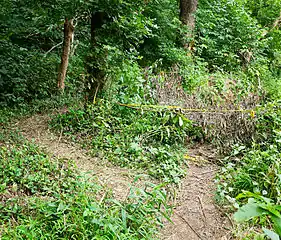 A washout in the trail. Detour goes to the left.