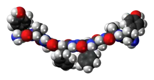 Space-filling model of Biphalin