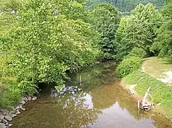 The Birch River in the community of Birch River in 2007