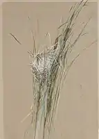 Fidelia Bridges, Bird's Nest in Cattails, 1875, Metropolitan Museum of Art