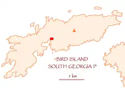 Bird Island