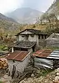 House with beehives