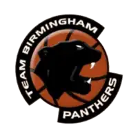 Birmingham Panthers logo