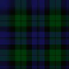 "Government sett", also known as the Black Watch tartan.