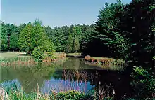 Blackbird Pond "align"=right "border" alt text