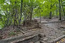 Walking trail in Blackstone Park Conservation District.