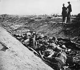 Dead Confederates in the "Bloody Lane" road.