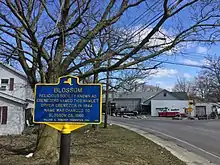 Historical marker reading: Blossom - Religious society known as Ebenezers named this hamlet Upper Ebenezer in 1844. Name was changed to Blossom ca. 1866.