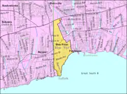 U.S. Census map