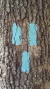 A Blaze indicating a trail junction, where trails run together, or a loop  of the trail.