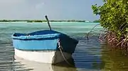 The Shore of South Caicos Island