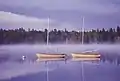 Boats at Lake Viared