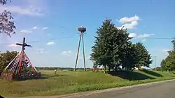 Wood storks nest in Woryny