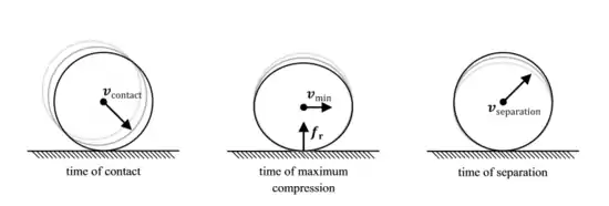 The compression and expansion phases of a collision between two solid bodies