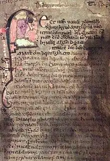 A page from a 12th-century Irish manuscript