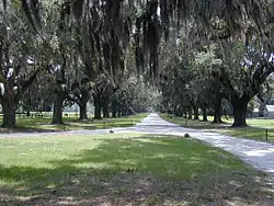 Boone Hall Plantation