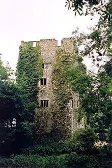 Bourchier Tower at Lough Gur (September 2005)