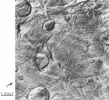 Branched channels in Thaumasia quadrangle, as seen by Viking Orbiter.  Networks of channels like this are strong evidence for rain on Mars in the past.