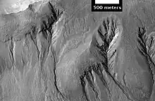 Gullies with branches, as seen by HiRISE.