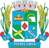 Official seal of Pirapetinga