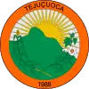 Coat of arms of Tejuçuoca