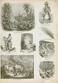 Image 12An illustration of brewing and distilling industry methods in England, 1858 (from Liquor)