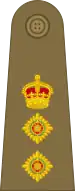 Colonel